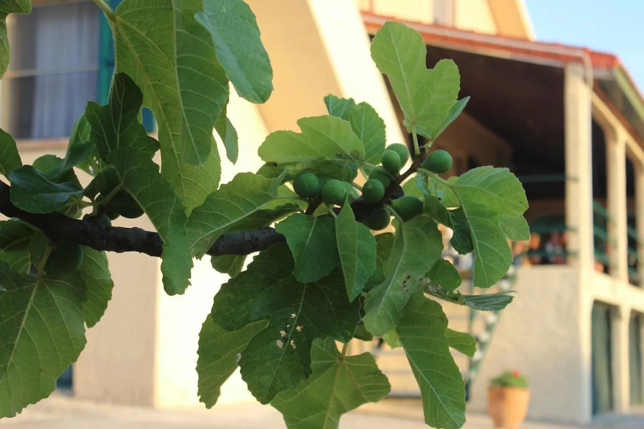 Villa Paradiso Alghero 0*,  Italien
